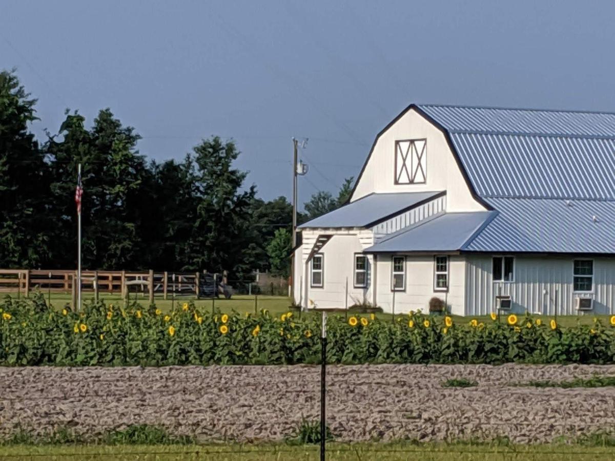 Bunkhouse Farm Stay Fort White Exteriér fotografie